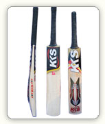 Kashmir Willow Professional