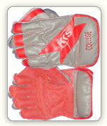 Wicket Keeping Gloves Colleage