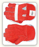 Wicket Keeping Gloves Practice