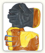 Wicket Keeping Gloves Pro